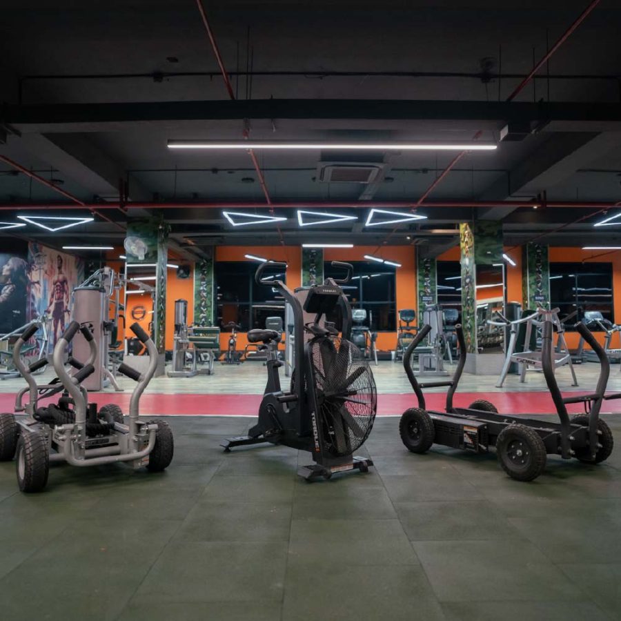 LVL UP Gyms - Mohali